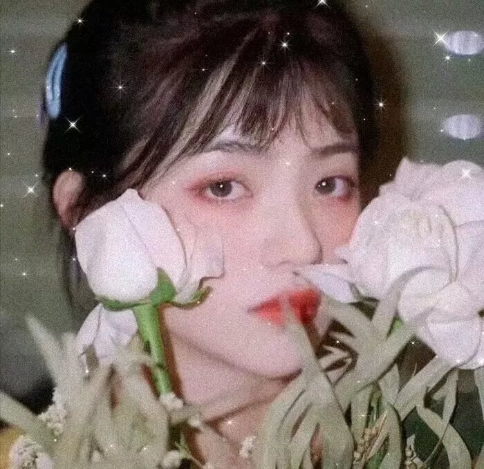 蜜蜂的秘密生活
